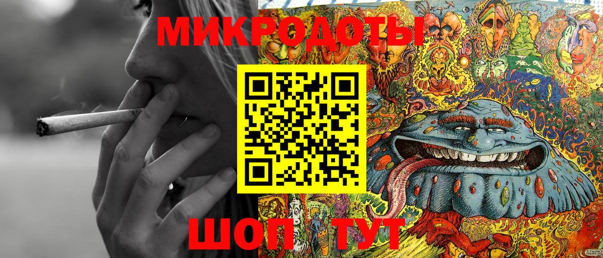 Псилоцибиновые грибы Cubensis Мурино